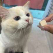 ヒメ日記 2025/09/11 22:01 投稿 REN GRAND STAGE