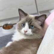 ヒメ日記 2025/09/25 22:30 投稿 REN GRAND STAGE