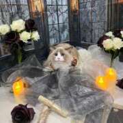 ヒメ日記 2025/10/20 22:56 投稿 REN GRAND STAGE