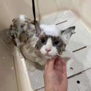 ヒメ日記 2025/10/24 23:24 投稿 REN GRAND STAGE