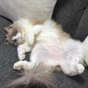 ヒメ日記 2025/12/19 16:45 投稿 REN GRAND STAGE