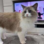 ヒメ日記 2025/12/28 19:34 投稿 REN GRAND STAGE