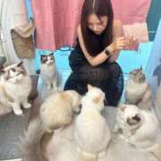 ヒメ日記 2025/12/30 03:44 投稿 REN GRAND STAGE