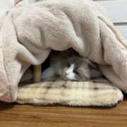 ヒメ日記 2026/01/03 18:04 投稿 REN GRAND STAGE