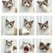 ヒメ日記 2026/01/15 02:24 投稿 REN GRAND STAGE