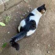 宮下 ももこ 早めに生理が来てしまい本日2/10と2/12休みです😢 SUMIRE