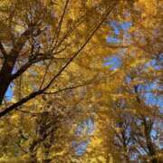 宮下 ももこ お久しぶりです SUMIRE