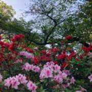 ヒメ日記 2026/04/21 19:35 投稿 宮下 ももこ SUMIRE