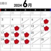 ヒメ日記 2024/05/24 16:26 投稿 あめ Noble