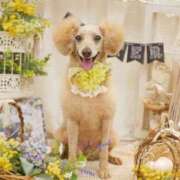 ヒメ日記 2025/03/03 12:33 投稿 芹沢りり 大人のエッチなエステ