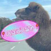 ヒメ日記 2025/04/04 05:12 投稿 芹沢りり 大人のエッチなエステ