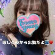 ヒメ日記 2025/04/14 23:57 投稿 芹沢りり 大人のエッチなエステ