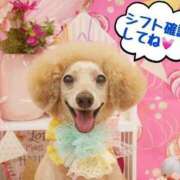 ヒメ日記 2025/05/16 15:55 投稿 芹沢りり 大人のエッチなエステ