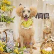 ヒメ日記 2025/09/06 05:45 投稿 芹沢りり 大人のエッチなエステ