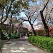 ヒメ日記 2025/03/24 14:16 投稿 ましろ ミラクル☆ハニー