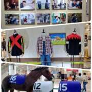 ヒメ日記 2025/12/17 11:30 投稿 ましろ ミラクル☆ハニー