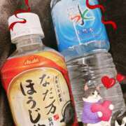 ヒメ日記 2025/03/19 15:00 投稿 しの パンドラ(上野)