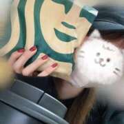 ヒメ日記 2025/03/27 07:18 投稿 しの パンドラ(上野)