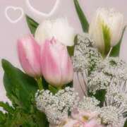 ヒメ日記 2025/04/01 11:06 投稿 しの パンドラ(上野)