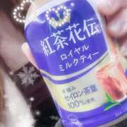 ヒメ日記 2026/01/26 18:36 投稿 しの パンドラ(上野)