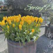 ヒメ日記 2026/02/19 09:13 投稿 しの パンドラ(上野)