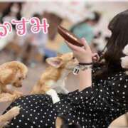 ヒメ日記 2025/05/18 22:01 投稿 かすみ しゃんぜりぜ