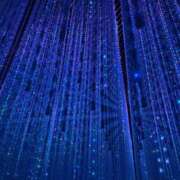 ヒメ日記 2025/05/21 23:31 投稿 かすみ しゃんぜりぜ