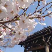 ヒメ日記 2025/04/06 20:14 投稿 まりえ 熟女家 東大阪店（布施・長田）