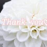 ヒメ日記 2025/04/20 12:10 投稿 西野みやび 五十路マダム　広島店