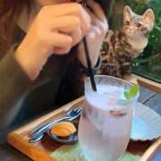 ヒメ日記 2025/04/01 23:26 投稿 くみこ(昭和44年生まれ) 熟年カップル名古屋～生電話からの営み～