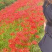 ヒメ日記 2025/09/20 03:05 投稿 くみこ(昭和44年生まれ) 熟年カップル名古屋～生電話からの営み～