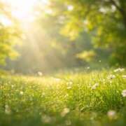 ヒメ日記 2026/04/15 07:29 投稿 くみこ(昭和45年生まれ) 熟年カップル名古屋～生電話からの営み～