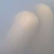 さり 初めてってドキドキするね？ 千葉人妻セレブリティ（ユメオト）