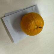 ヒメ日記 2024/12/23 23:42 投稿 歌川ねお 全裸の極みorドッキング痴漢電車