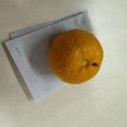 ヒメ日記 2024/12/23 23:55 投稿 歌川ねお 全裸の極みorドッキング痴漢電車