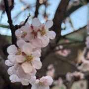 ヒメ日記 2025/03/02 15:45 投稿 歌川ねお 全裸の極みorドッキング痴漢電車