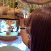 ヒメ日記 2025/04/29 17:49 投稿 歌川ねお 全裸の極みorドッキング痴漢電車