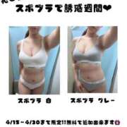 ヒメ日記 2026/04/15 08:15 投稿 歌川ねお 全裸の極みorドッキング痴漢電車