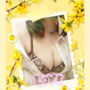 ヒメ日記 2025/11/08 20:09 投稿 さゆり 人妻美人館