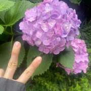 ヒメ日記 2025/06/07 13:37 投稿 なぎ 東京アロマスタイル