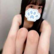 なぎ ポッキーの日(*´◒`*)ｱｰﾝ♡ 東京アロマスタイル