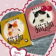 ヒメ日記 2025/02/18 09:04 投稿 高梨 鶯谷ワンハート