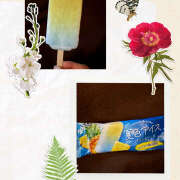 ヒメ日記 2025/07/18 08:53 投稿 高梨 鶯谷ワンハート