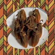 ヒメ日記 2025/11/21 09:07 投稿 高梨 鶯谷ワンハート