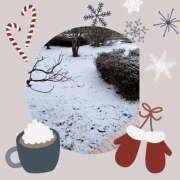 ヒメ日記 2026/03/10 08:58 投稿 高梨 鶯谷ワンハート