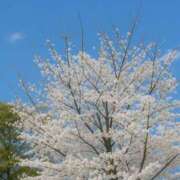 ヒメ日記 2025/03/30 12:52 投稿 ひとみ 奥鉄オクテツ奈良