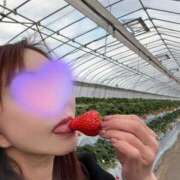 ヒメ日記 2025/06/19 12:45 投稿 ひとみ 奥鉄オクテツ奈良