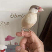 ヒメ日記 2025/06/24 18:55 投稿 ひとみ 奥鉄オクテツ奈良