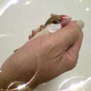 ヒメ日記 2025/07/28 18:35 投稿 ひとみ 奥鉄オクテツ奈良