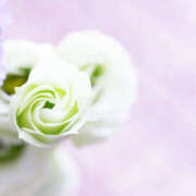 ヒメ日記 2025/05/31 18:10 投稿 こまち 奥鉄オクテツ奈良